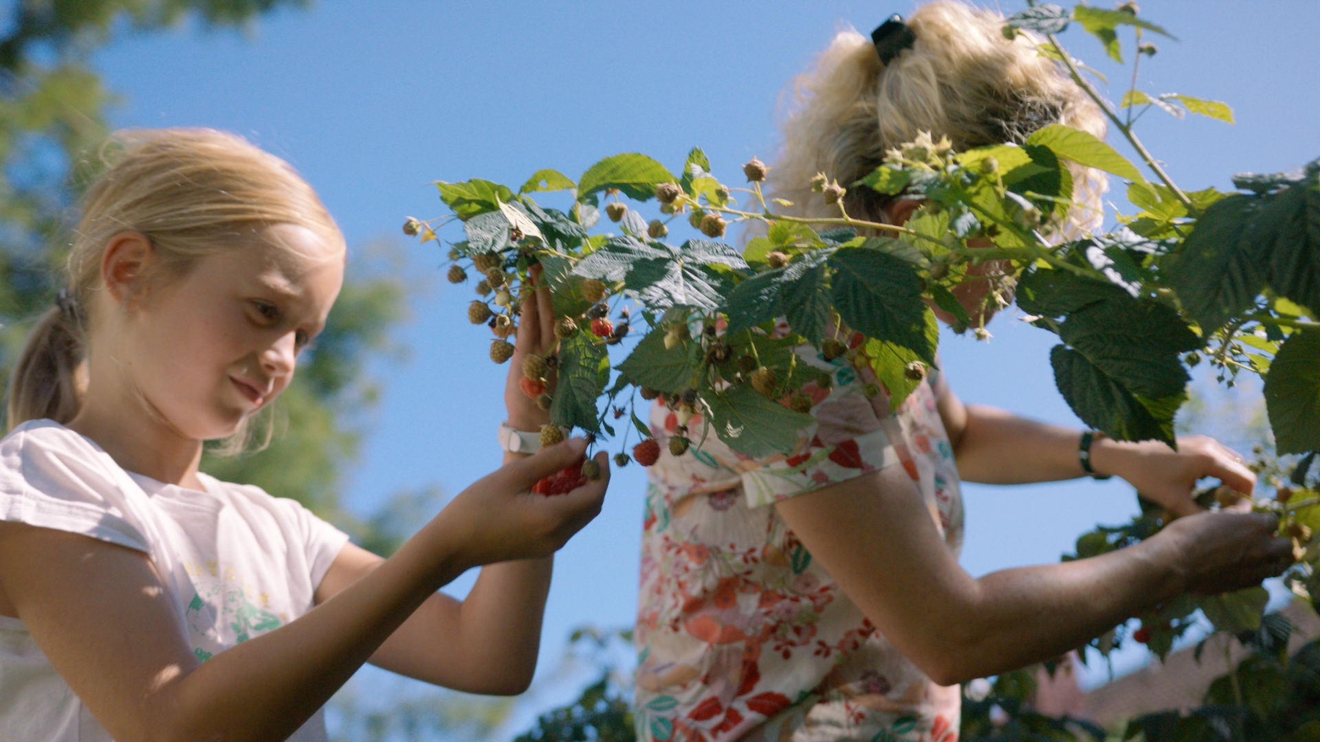 Grauwerk Projekt Hablesreiter Gartengestaltung 2023 - Geile Gärten, Customer Success Stories, Werbefilm, Still