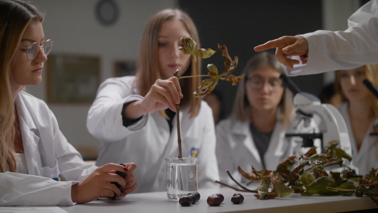 Grauwerk Projekt Hak 1 Wels (2020); Thumbnail, Werbefilm, Imagefilm
